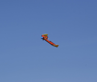 DSC0940