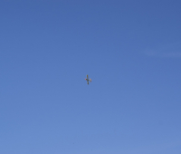 DSC0979