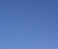 DSC0980