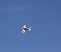 DSC0985