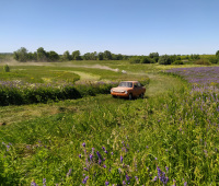 IMG_20220626_112334