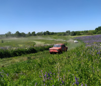 IMG_20220626_112353
