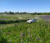 IMG_20220626_112357