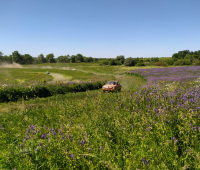 IMG_20220626_112451