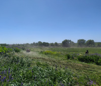 IMG_20220626_112456