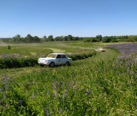 IMG_20220626_112501