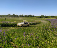 IMG_20220626_112505