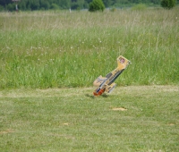 IMGP8432