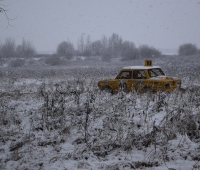 _DSC0040