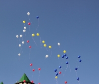 IMG_8316.jpg